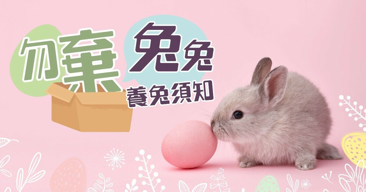 ［新品・ホロ銀PET・アクスタつき］海外マステ 一木一横 人物 兔子小姐和猫先生 兔田佩克拉｜Good Smile Company